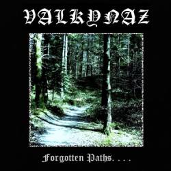 Valkynaz : Forgotten Paths. . .